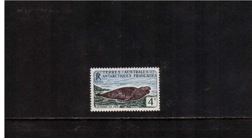 4F Leopard Seal definitive single superb unmounted mint.