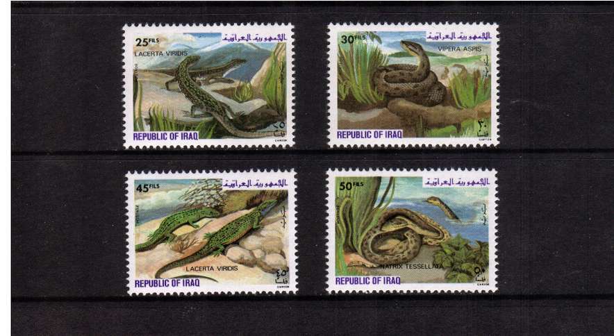 Reptiles set of four