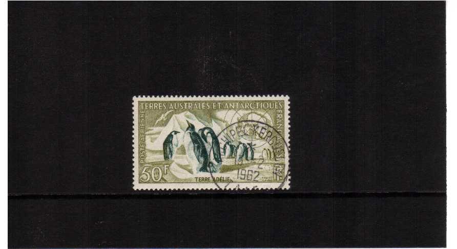 emperor penguins single superb used single