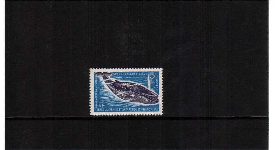 Blue Whale single superb unmounted mint