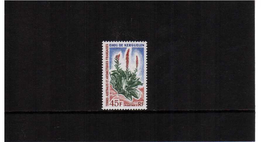 Kerguelen Cabbage single superb unmounted mint