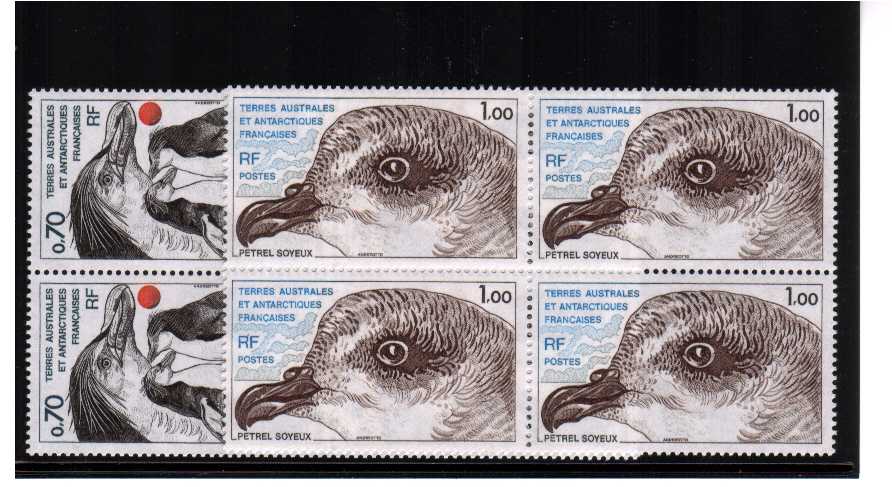 Penguines and Petrel bird head set of two in superb unmounted mint blocks of four