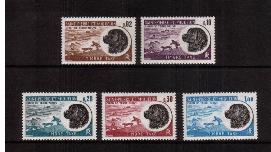 The POSTAGE DUE set of five superb unmounted mint. SG Cat 28
<br/><b>QAQ</b>