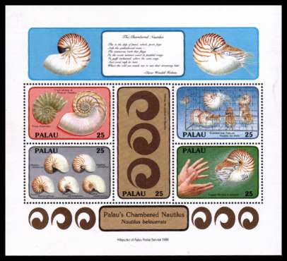 Chambered Nautilus Seashell minisheet superb unmounted mint