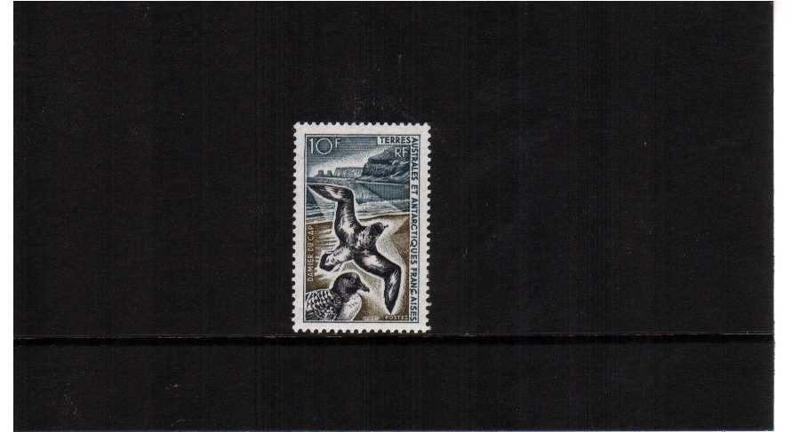 Pintado Petrel bird single superb unmounted mint